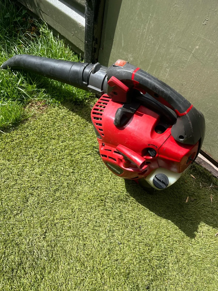 Leaf blower - Image 1