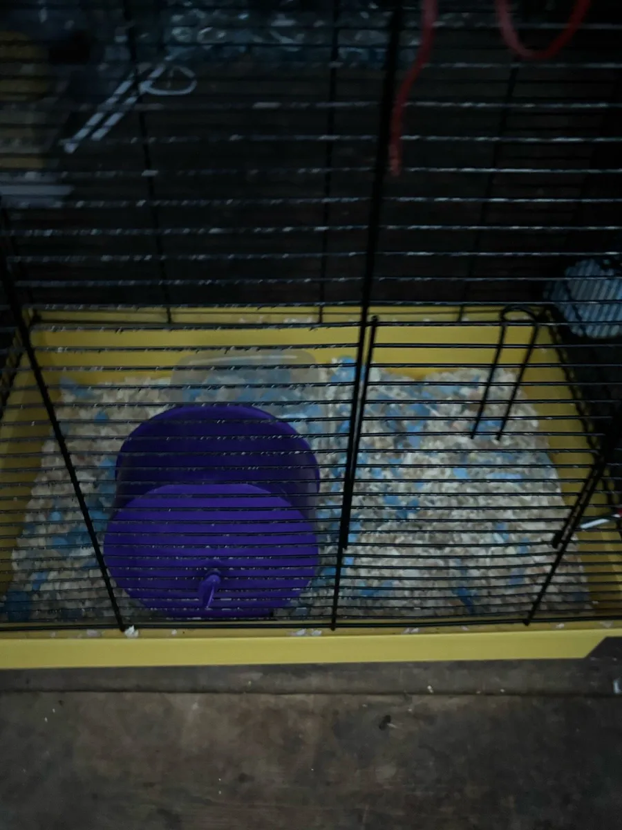 Hamster cage