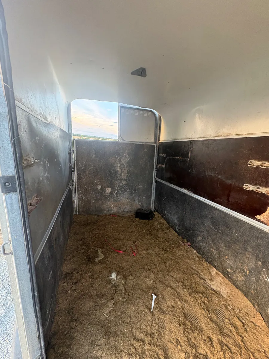 Hunter 505 horsebox - Image 4