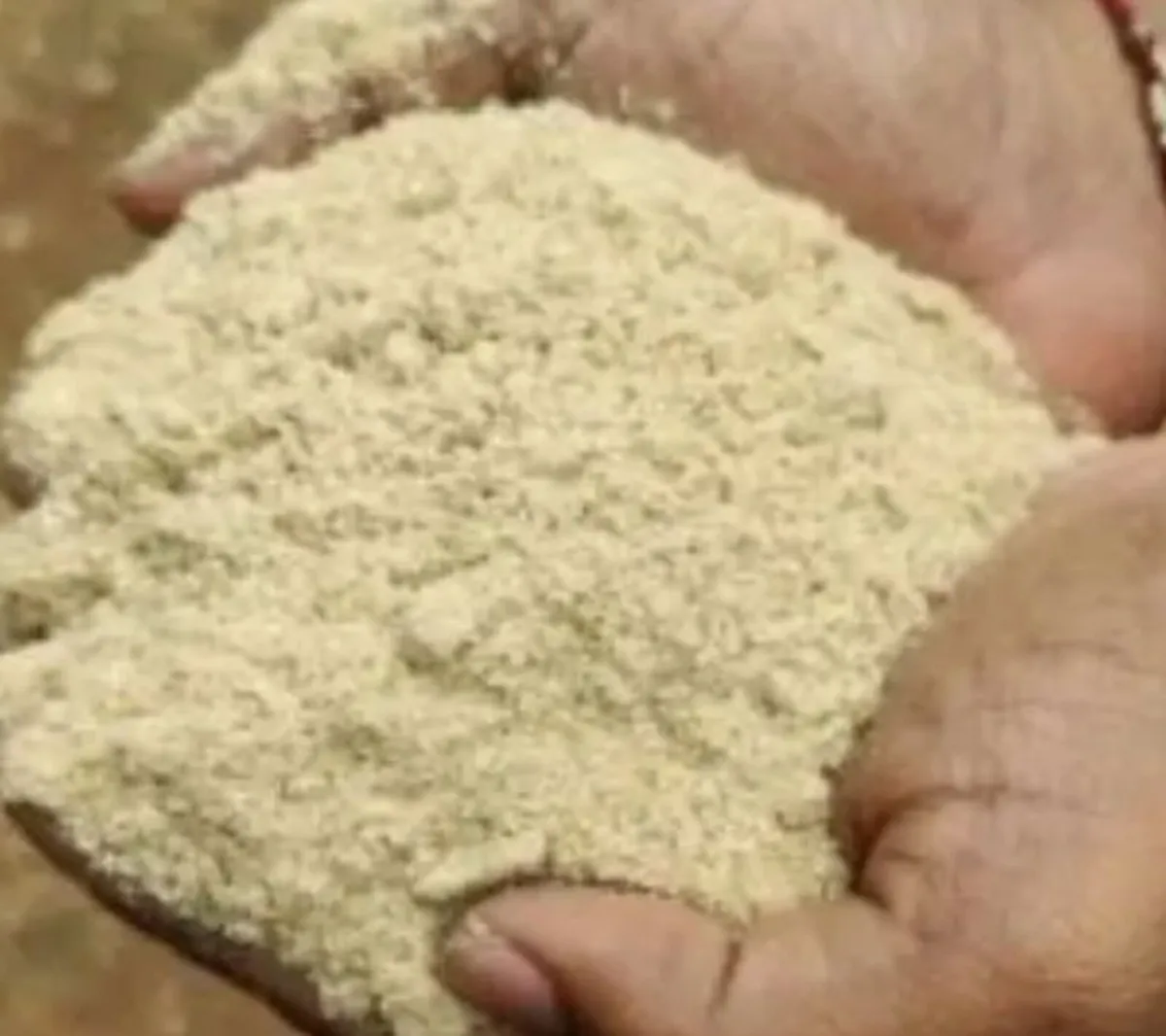Organic Animal Feed