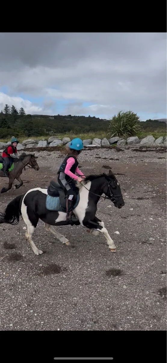 12.1 amazing family pony - Image 4