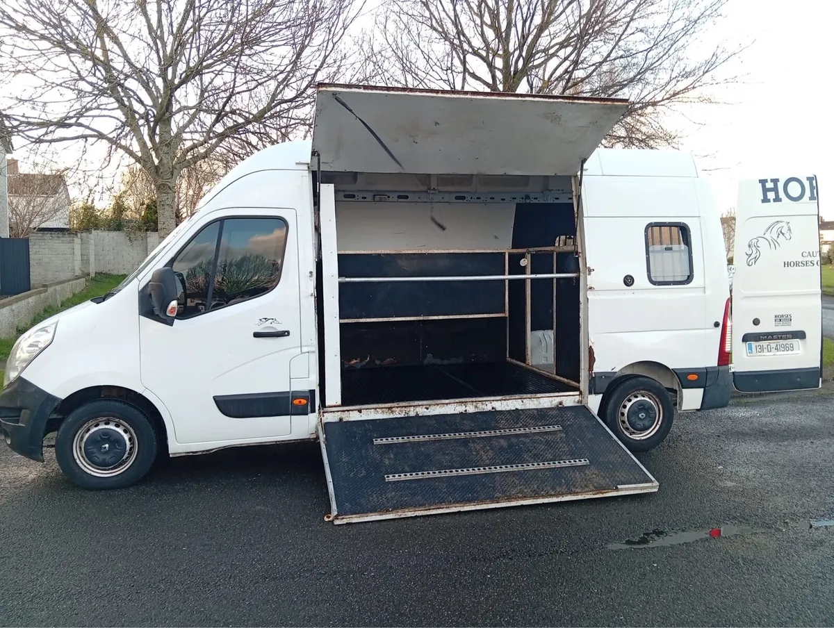 2013 renault master horse 2 horse van , doed - Image 3