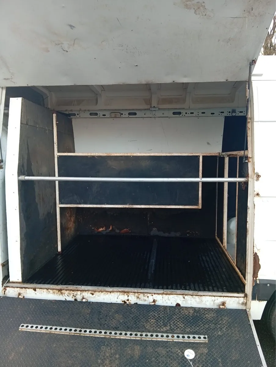 2013 renault master horse 2 horse van , doed - Image 4