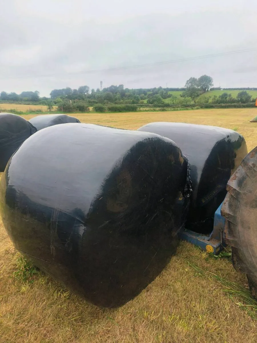 Second cut silage for sale 10 acres - Image 2
