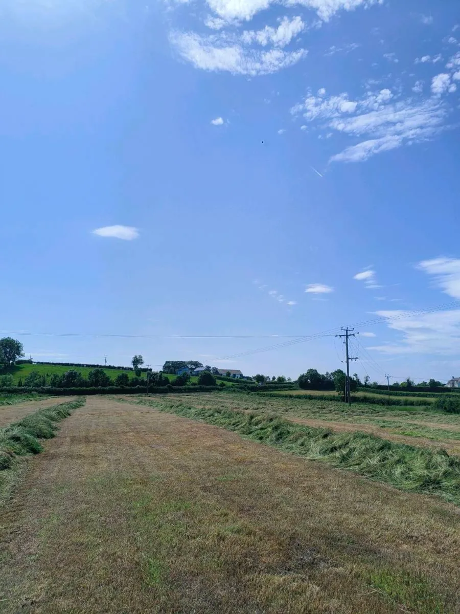 Second cut silage for sale 10 acres - Image 4