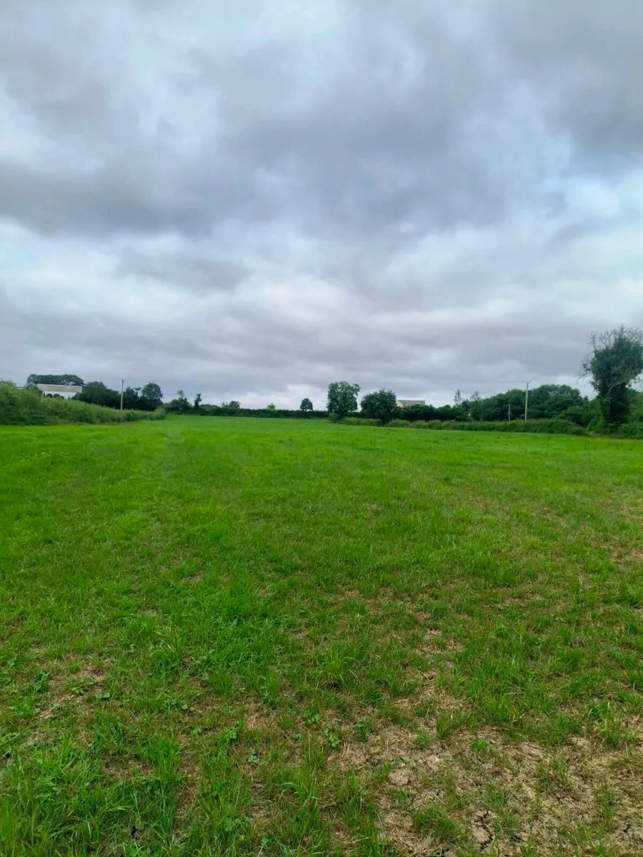 Second cut silage for sale 10 acres - Image 1