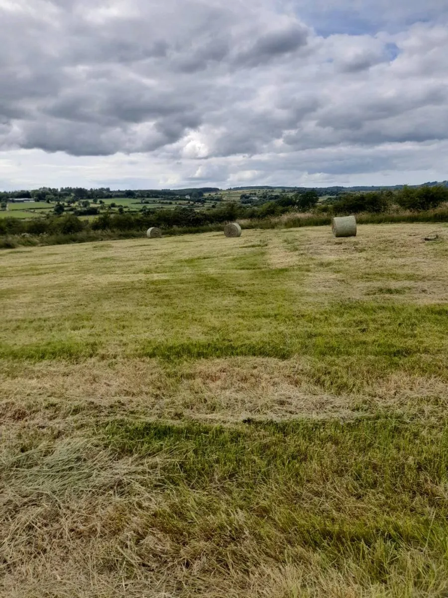 Coarse hay for sale - Image 3
