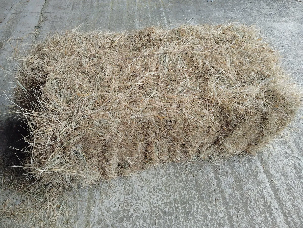 Square Bales of Hay - Image 3