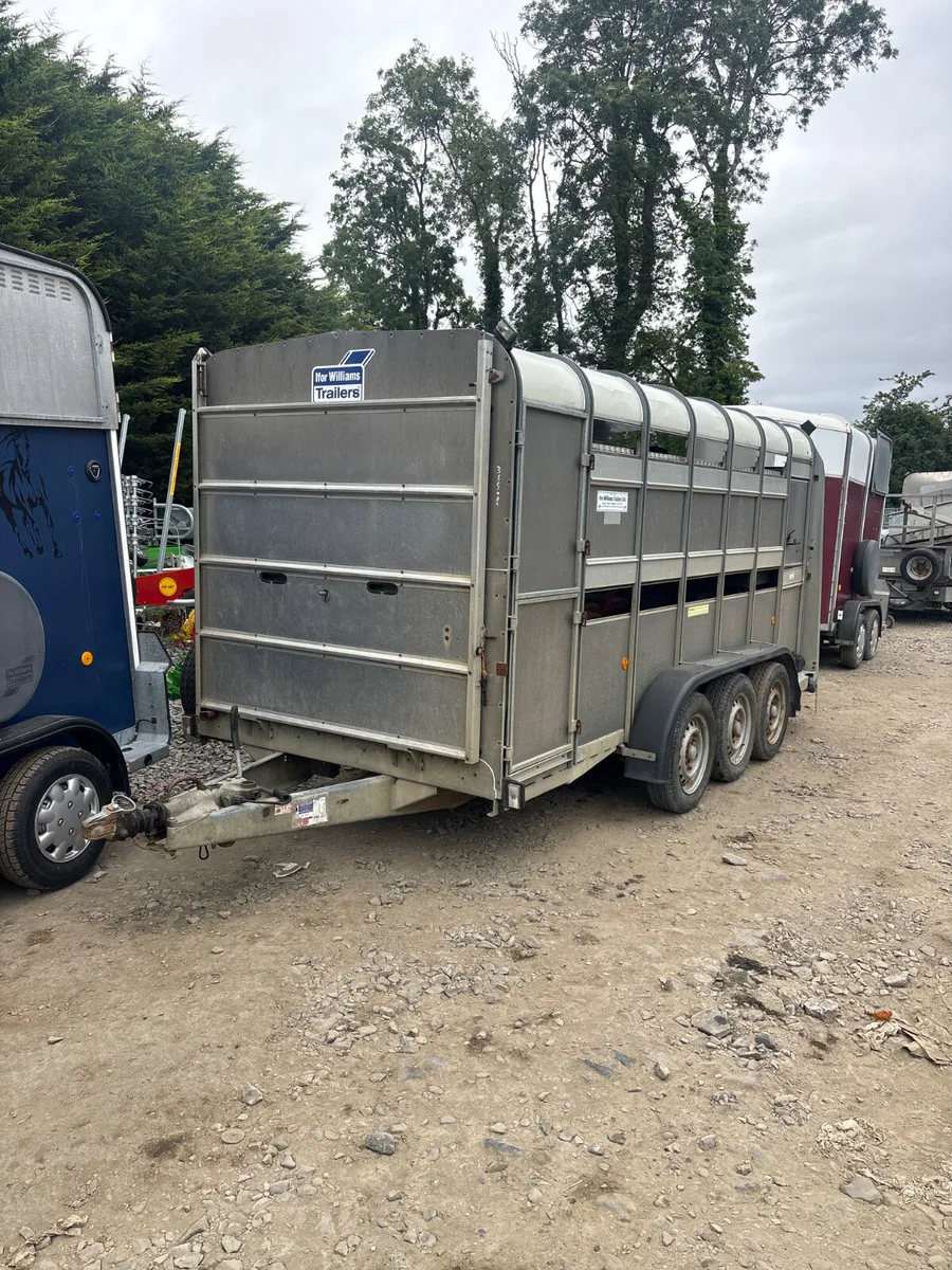 Ifor Williams 14ft livestock trailer - Image 1