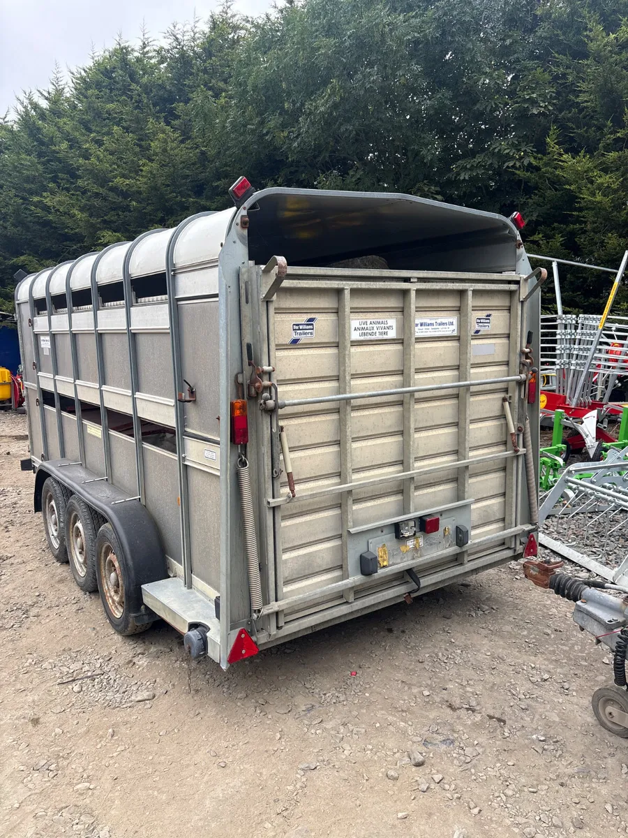 Ifor Williams 14ft livestock trailer - Image 2