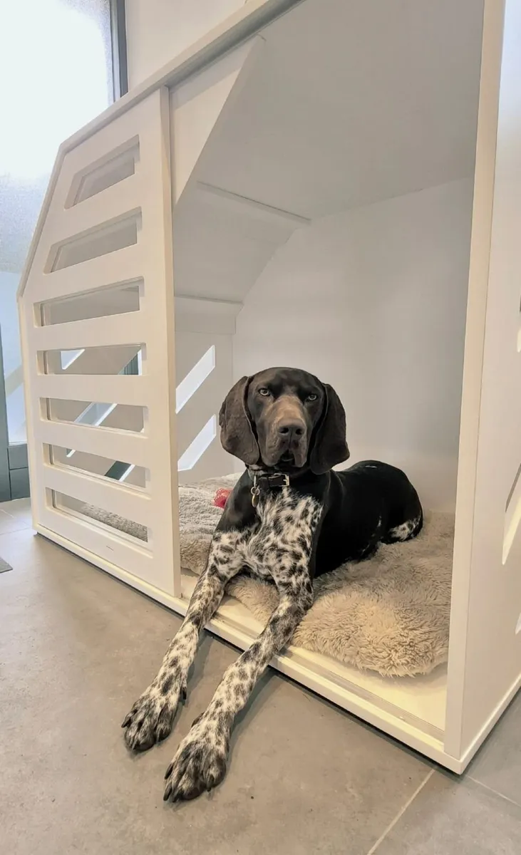 Elegant bespoke handcrafted XL dog crate. - Image 1