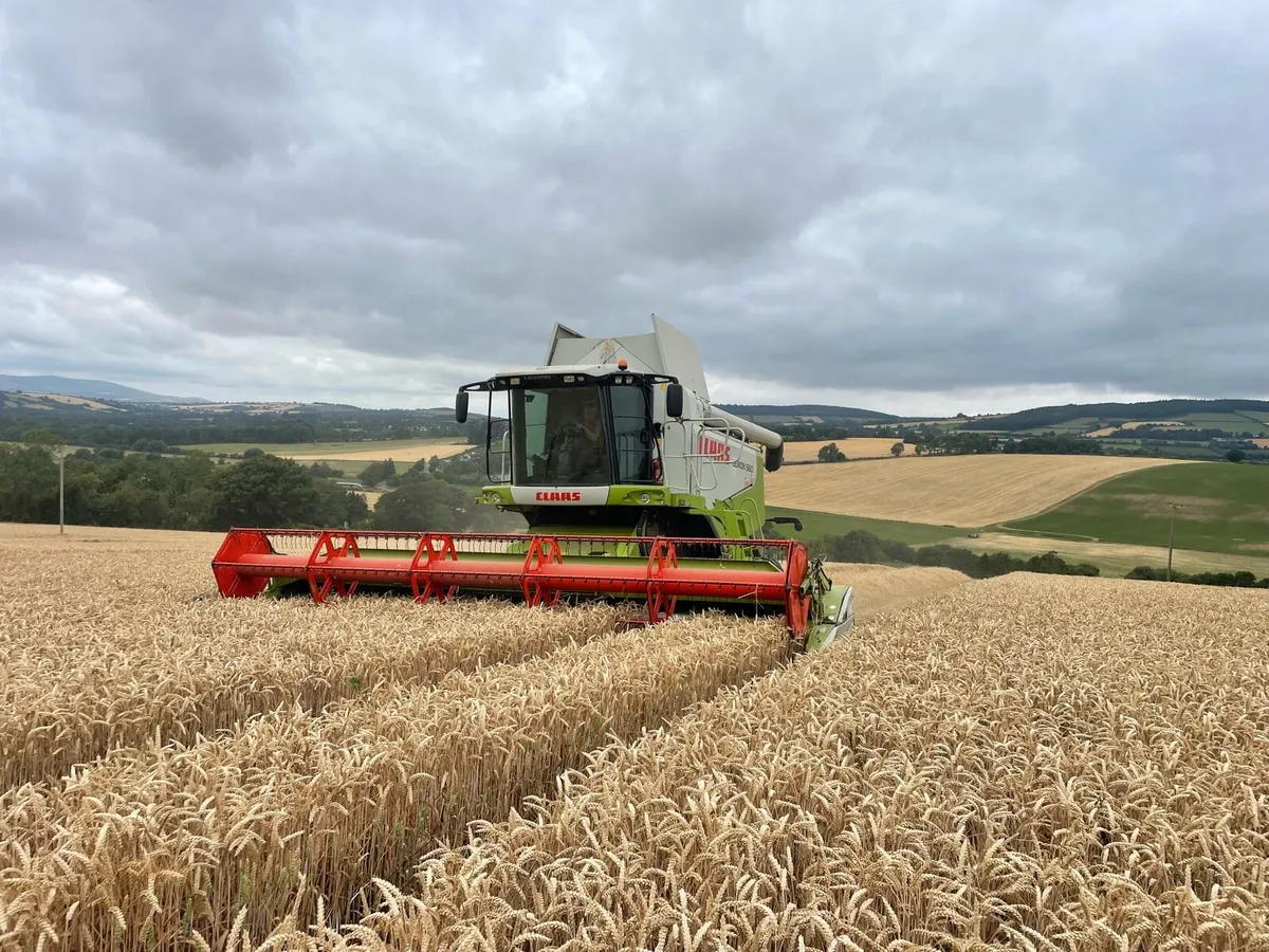 CLAAS LEXION 560TT - Image 1