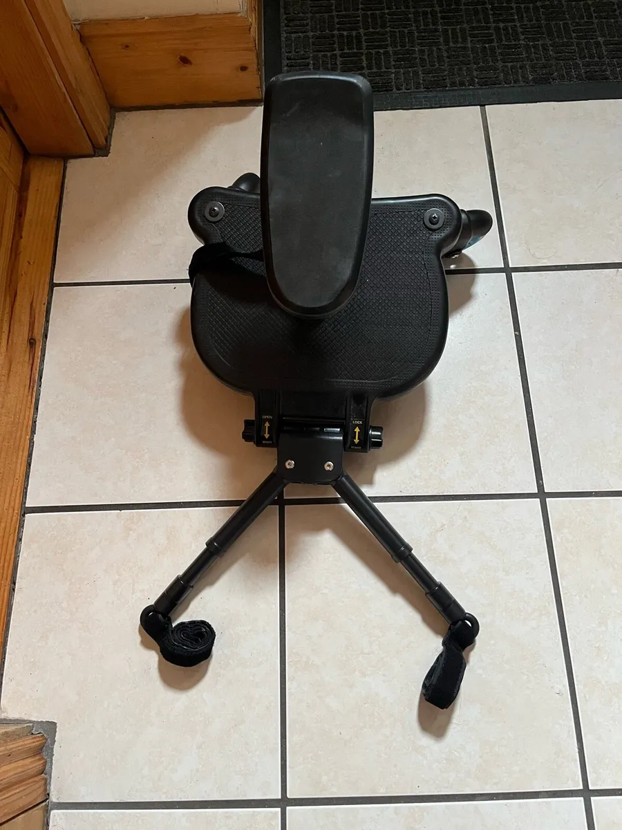 Buggy Board - Image 2