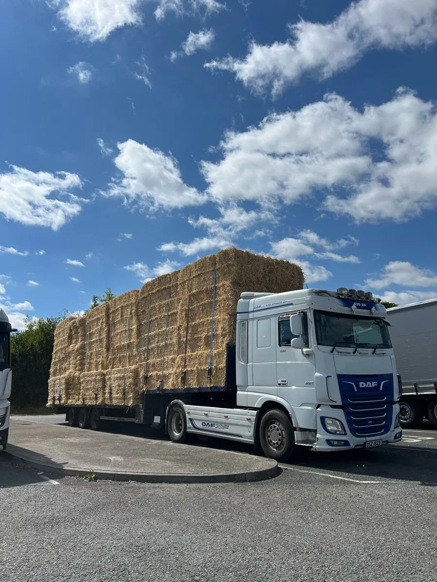 New season Barley Straw - Image 1
