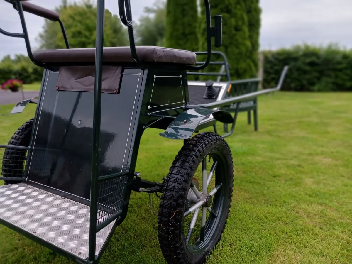 Two wheel cart for horse - Image 2