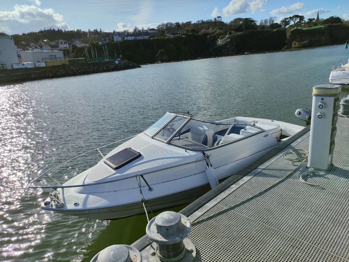 Bayliner 192 Cuddy – Freshwater Used - Image 4