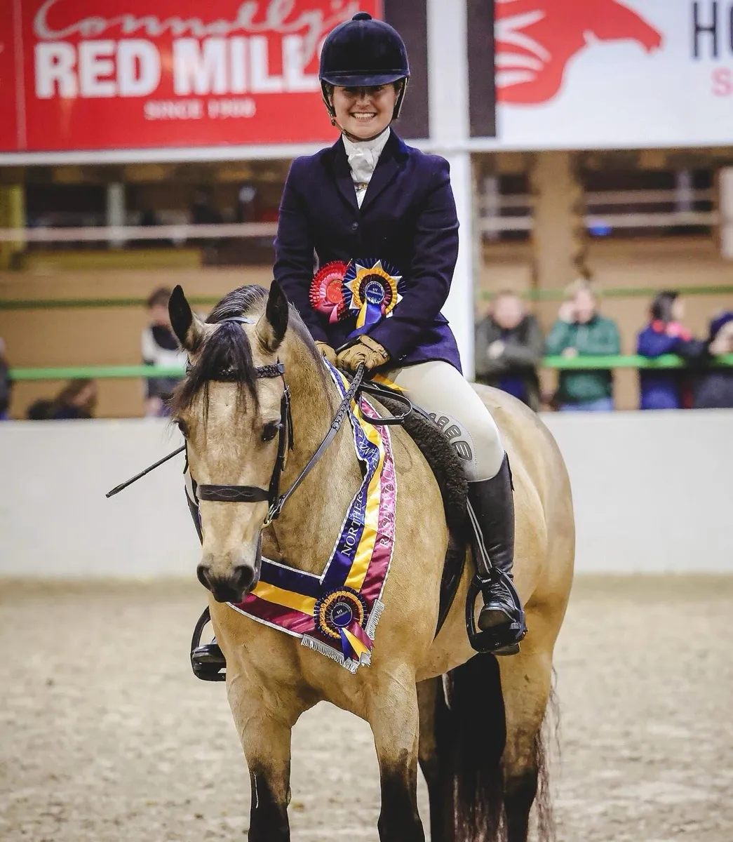 7yo Homebred Connemara Mare - Image 1