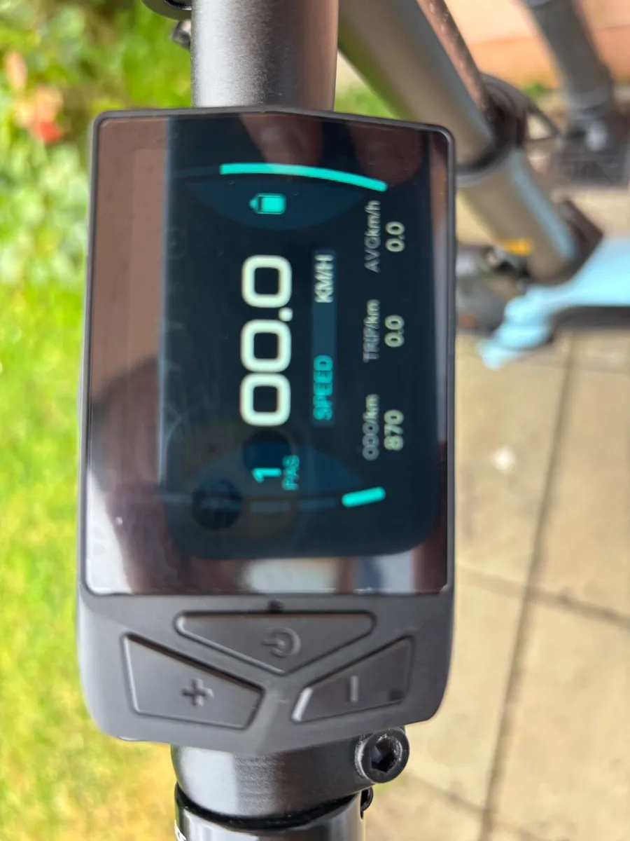 Electric Bike - Image 2