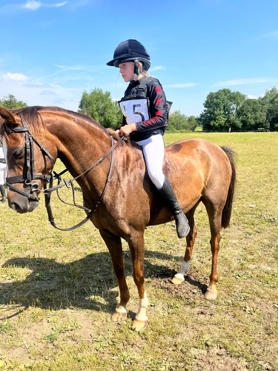 Pony 133 - Image 1