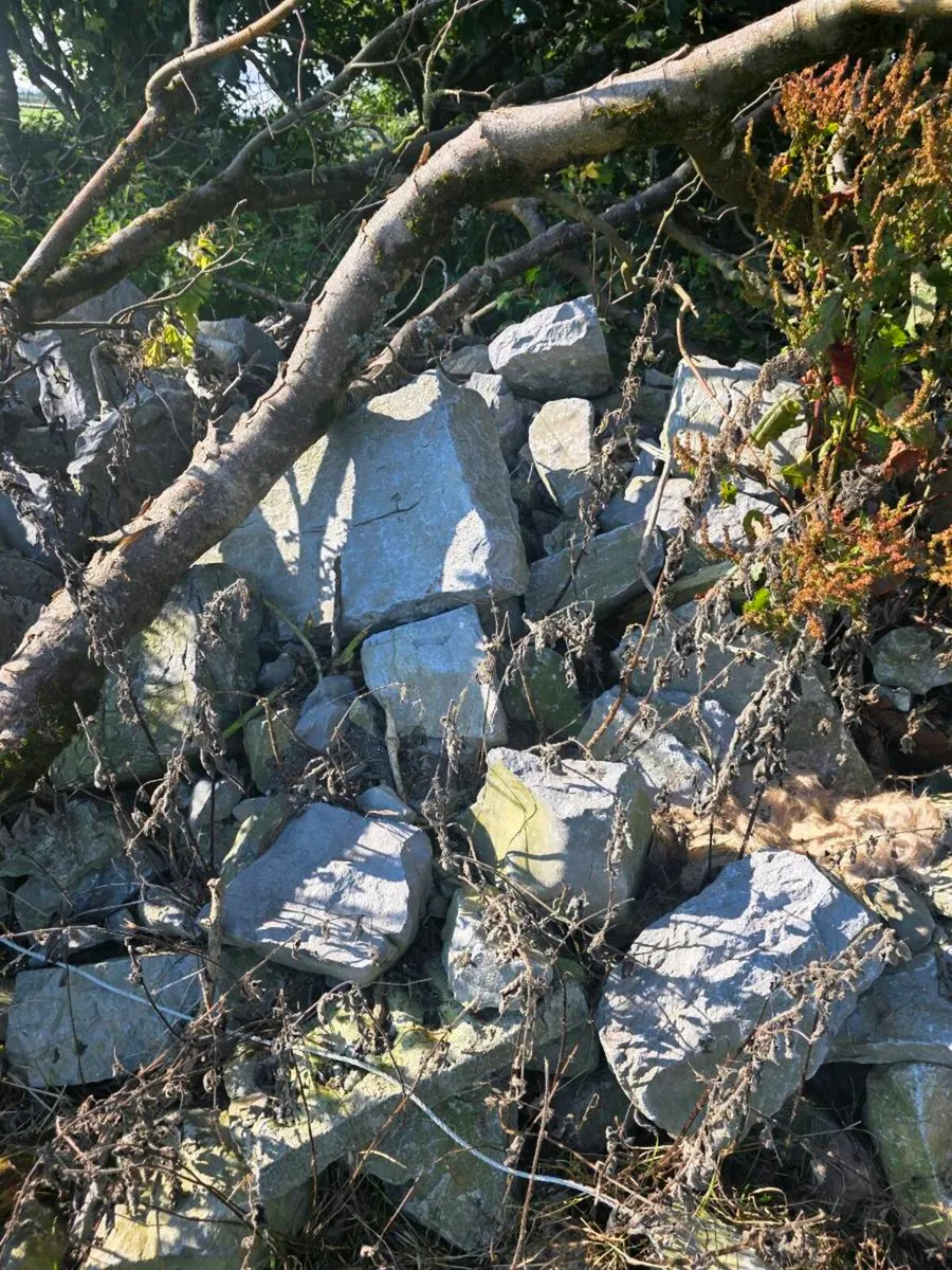 Old Whilte limestone - Image 1