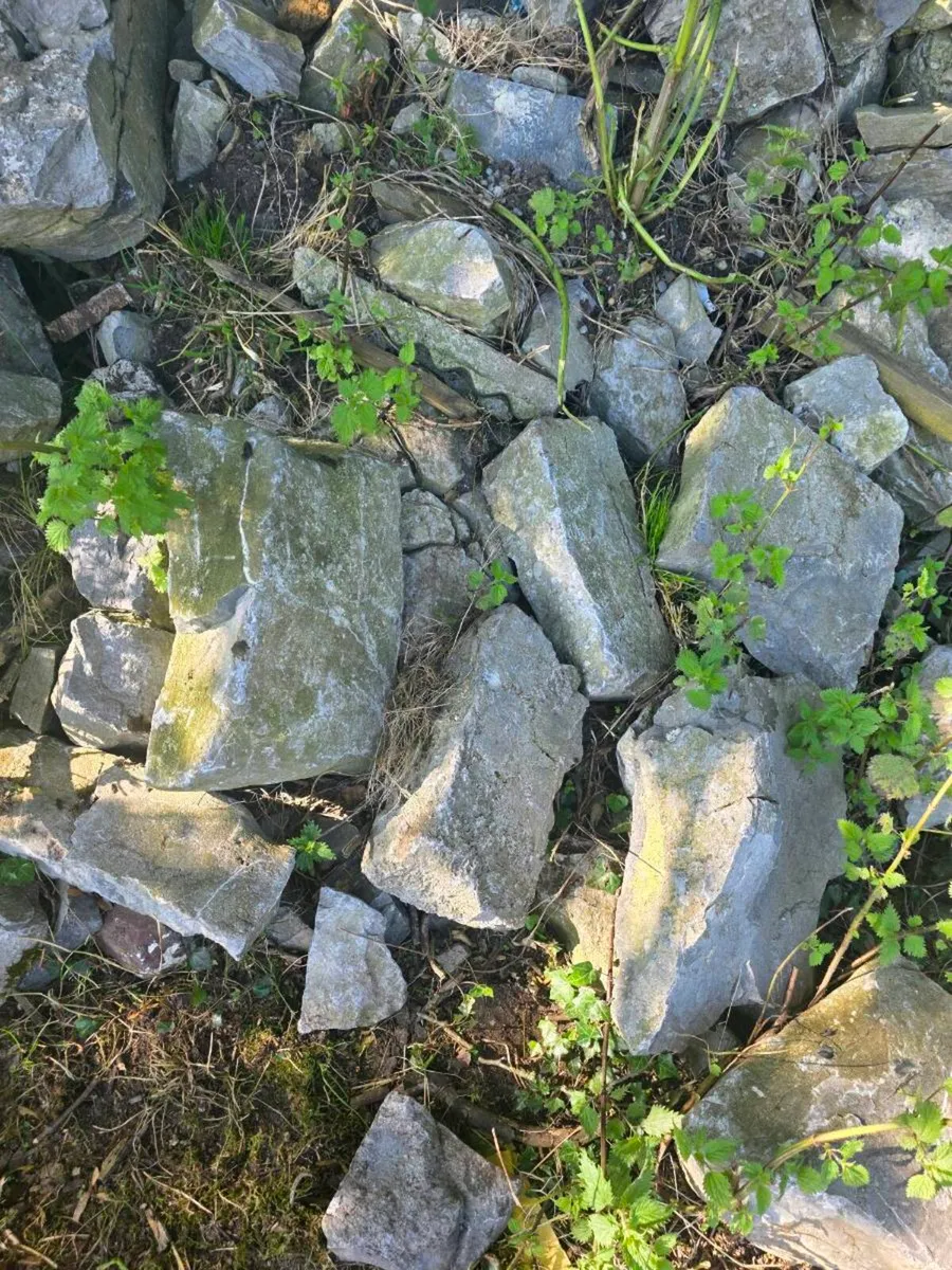 Old Whilte limestone - Image 4