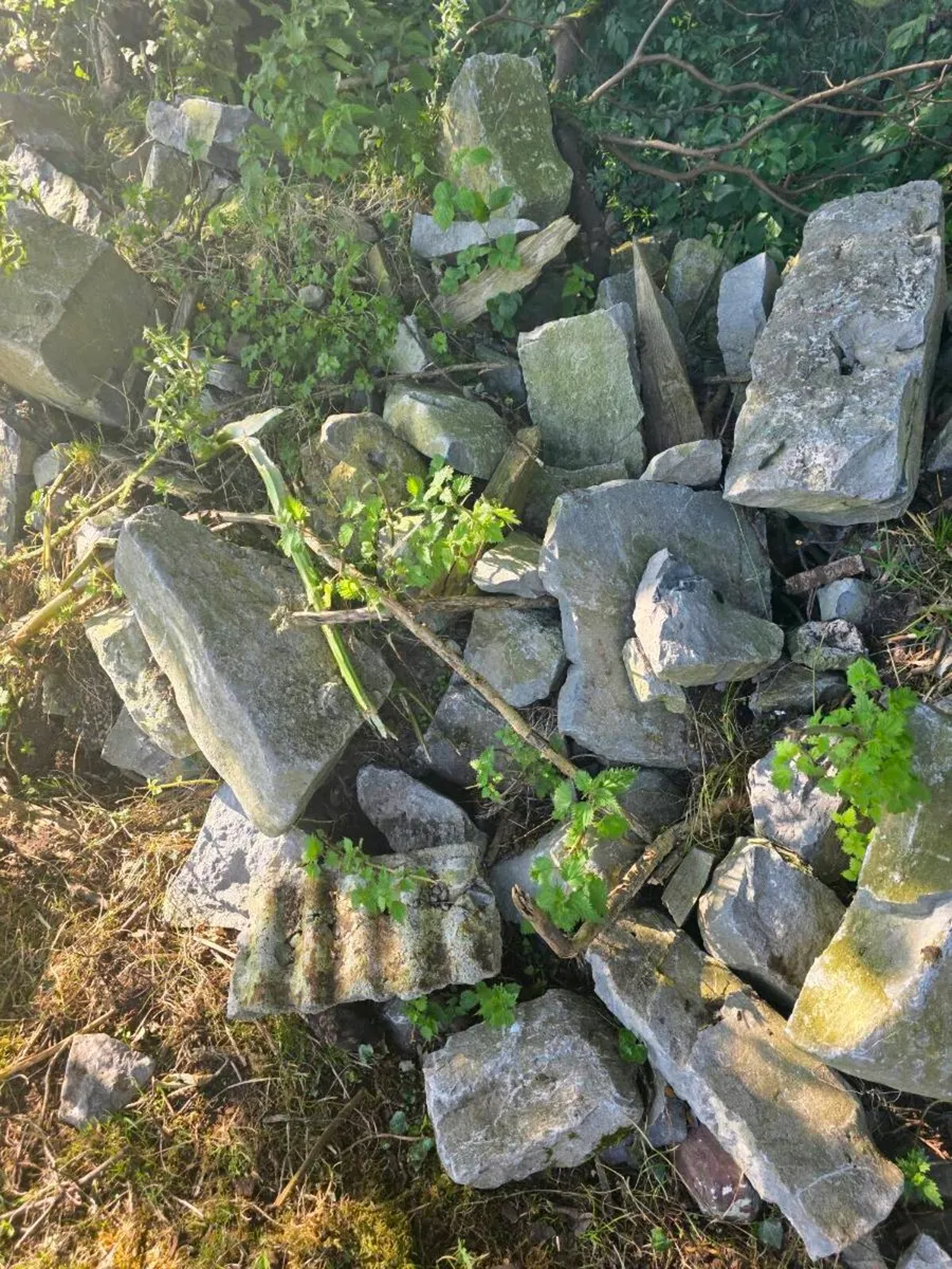 Old Whilte limestone - Image 3