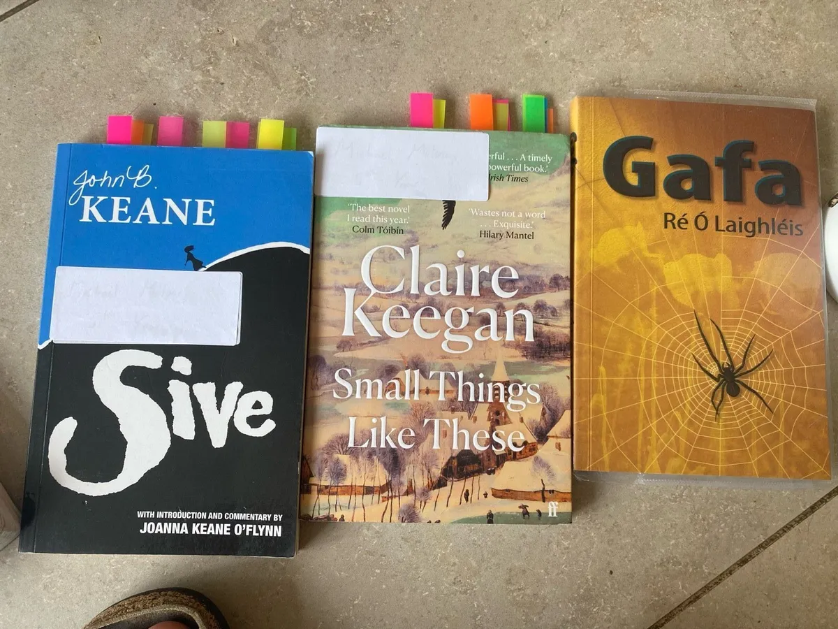 Leaving cert books - Image 3