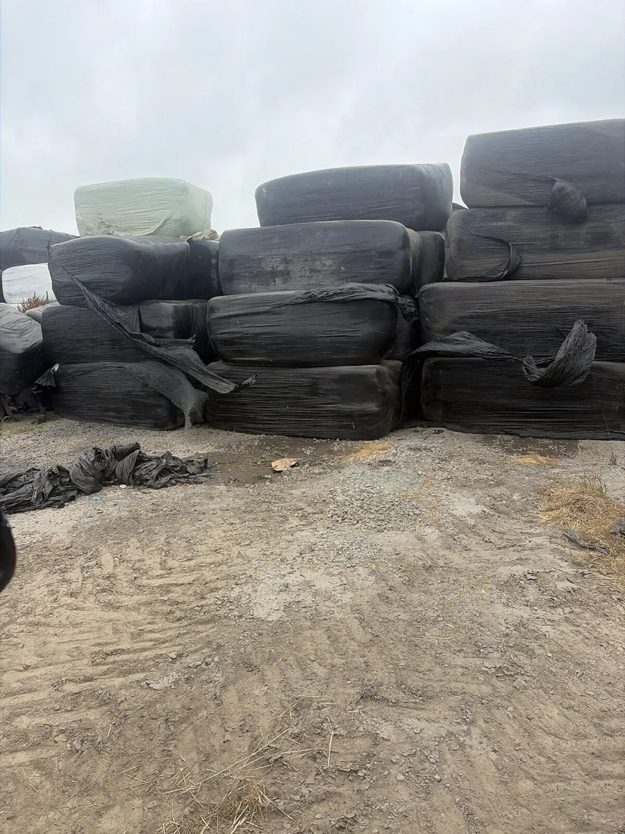 Clearance of last years Haylage - Image 1