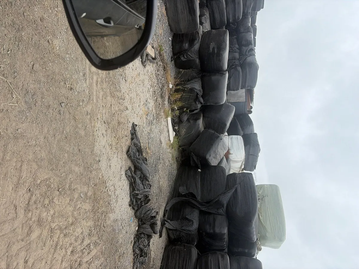 Clearance of last years Haylage - Image 2