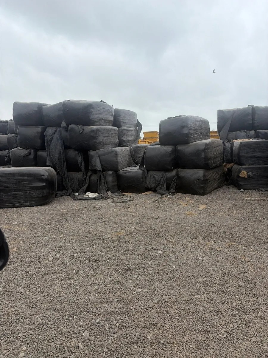 Clearance of last years Haylage - Image 3