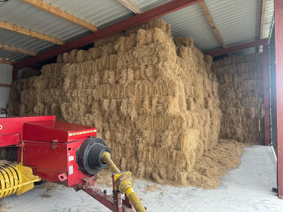 Square Bales €4.50 Each - Image 2