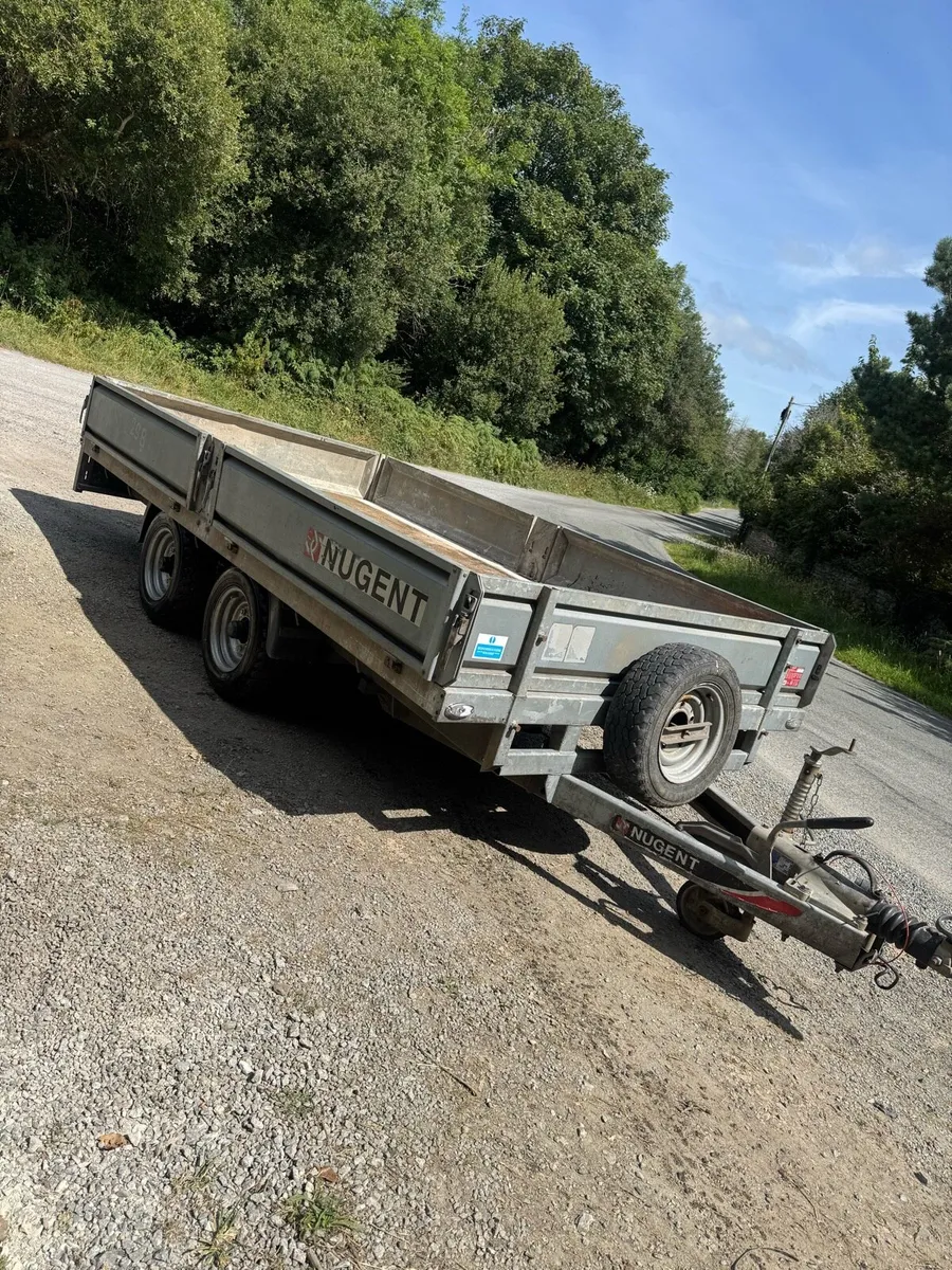 2022 Nugent 12x6 dropside - Image 3
