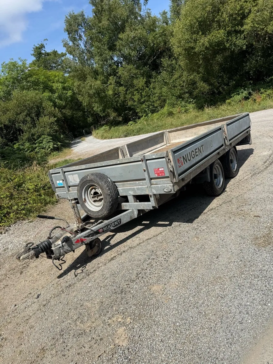 2022 Nugent 12x6 dropside - Image 4