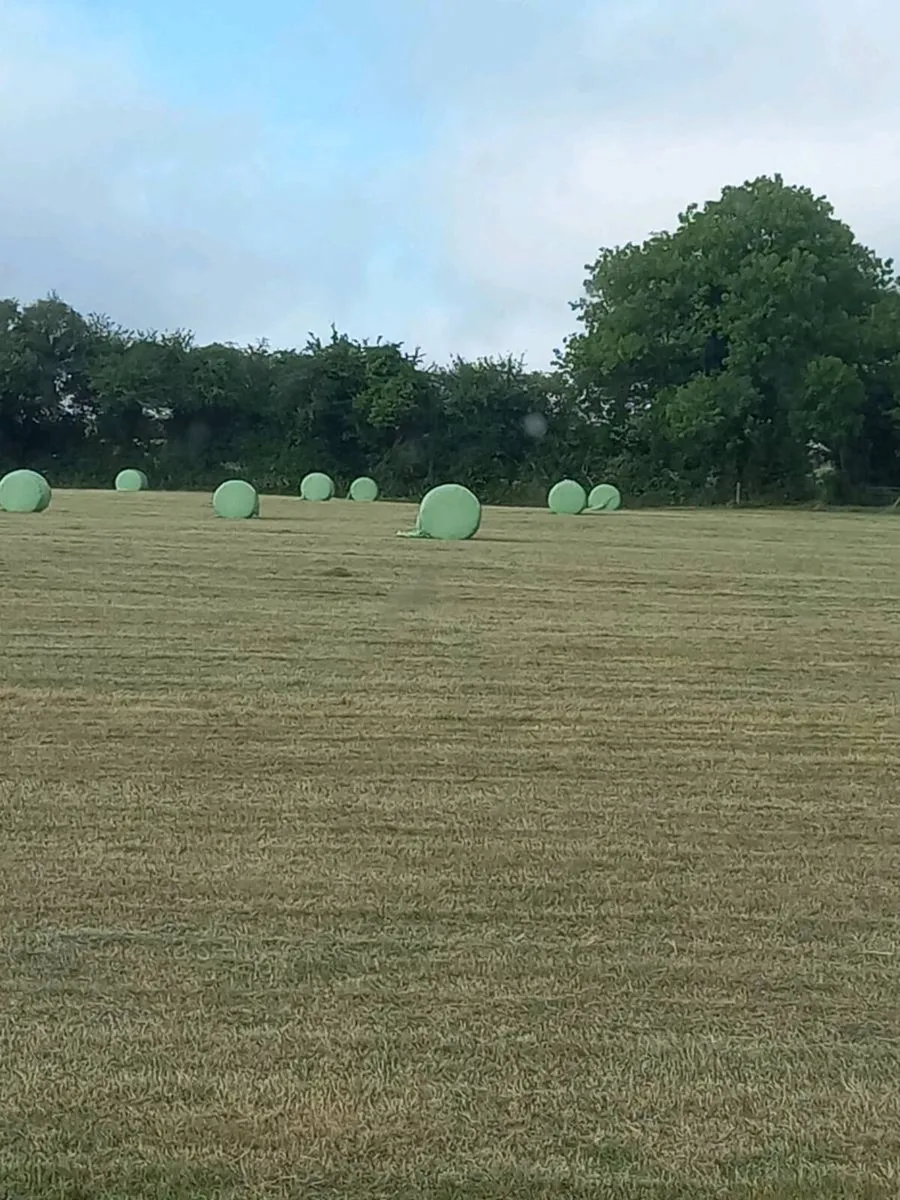 4x4 bales of silage and hay - Image 1