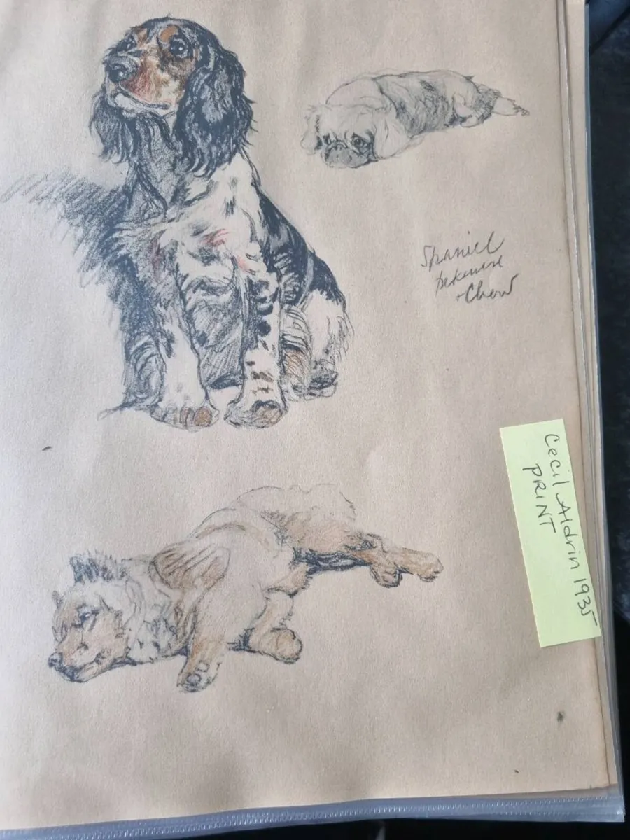 Cecil Aldrin dog prints 1935 prints - Image 4