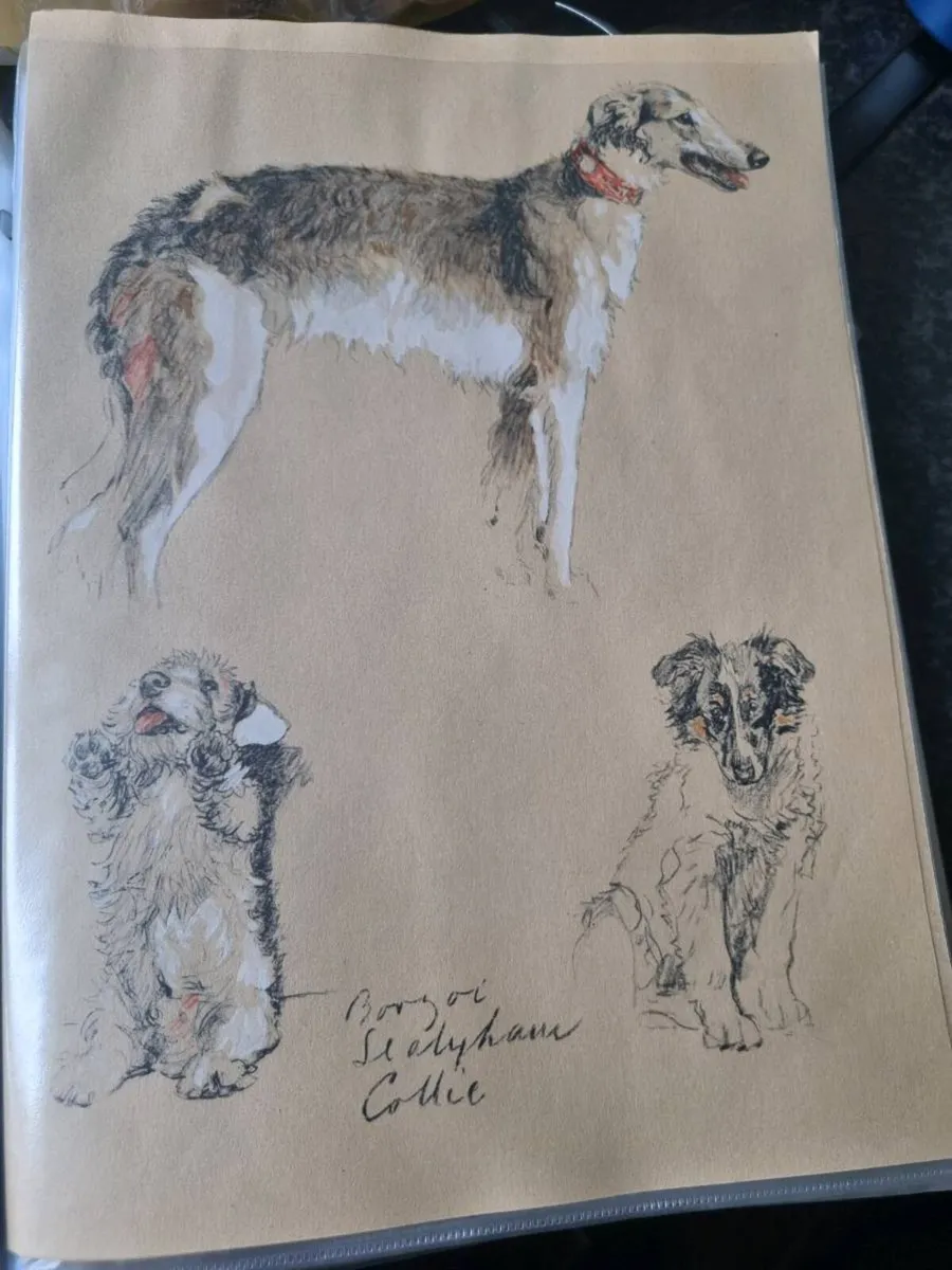 Cecil Aldrin dog prints 1935 prints - Image 1
