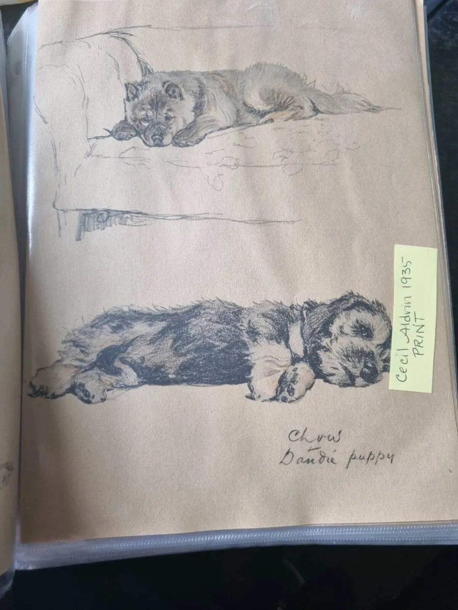 Cecil Aldrin dog prints 1935 prints - Image 2
