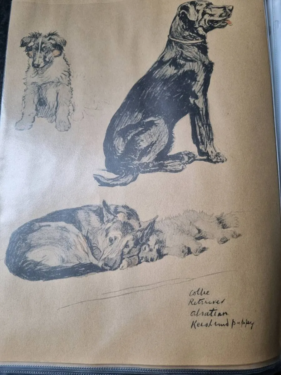 Cecil Aldrin dog prints 1935 prints - Image 3