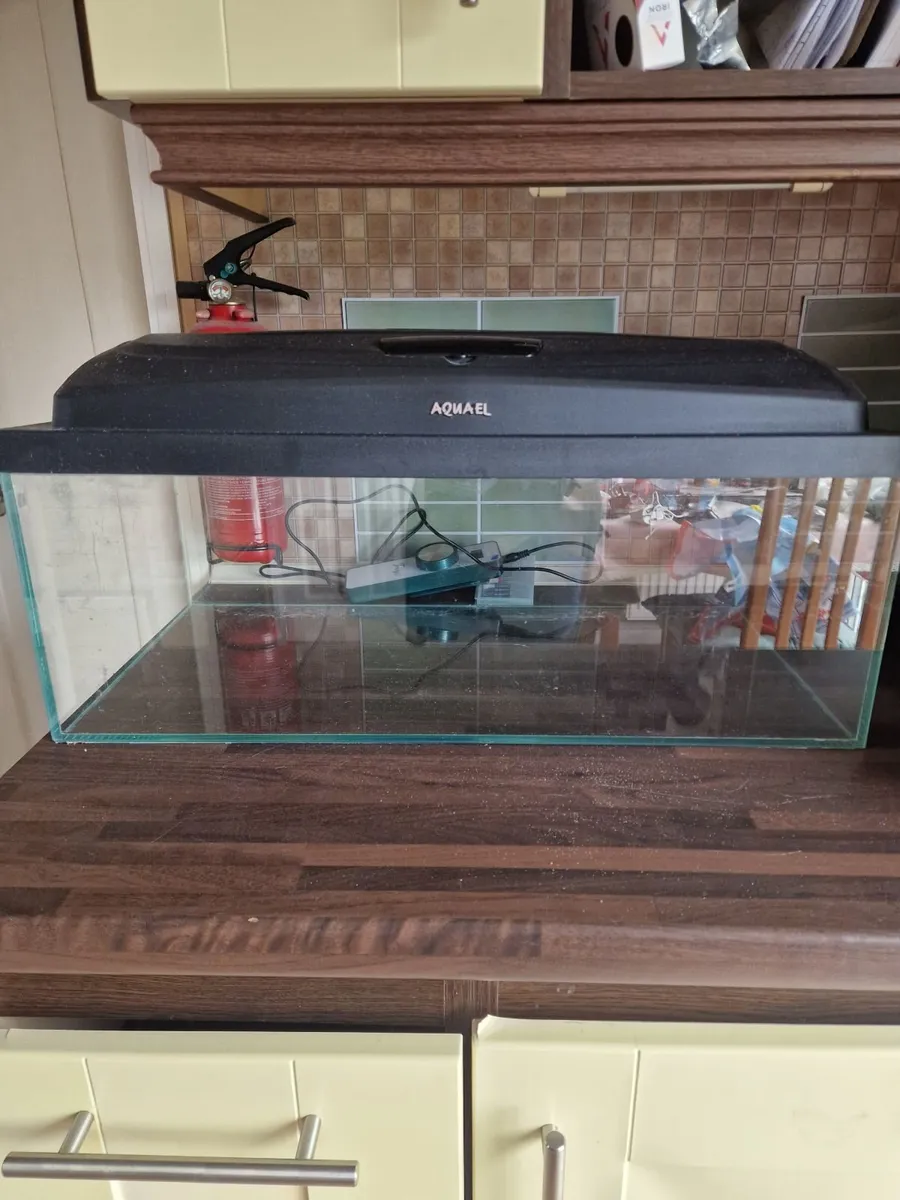 Aquarium set up - Image 2