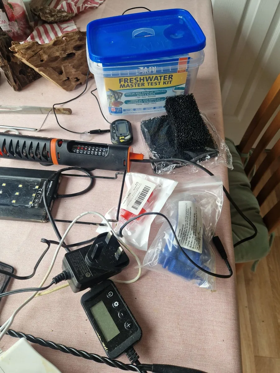 Aquarium set up - Image 4