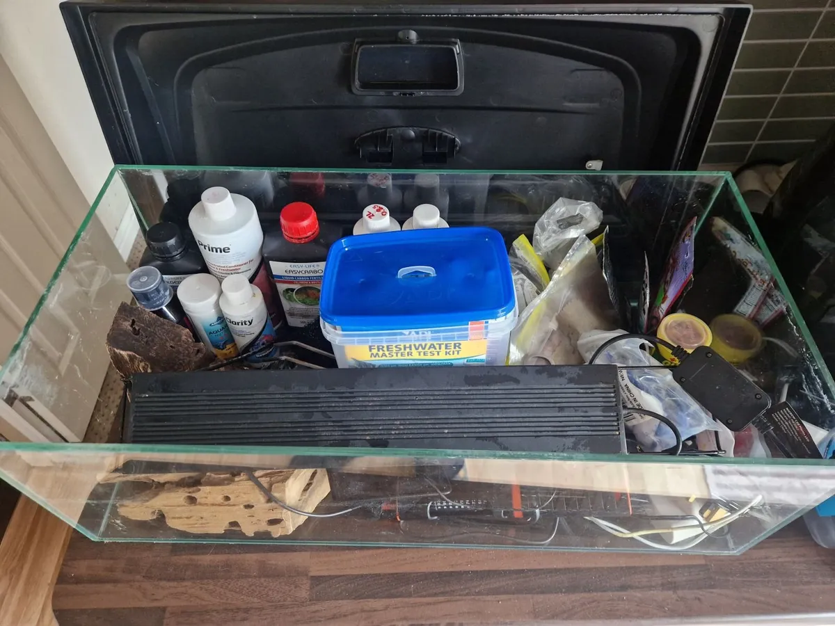 Aquarium set up - Image 3