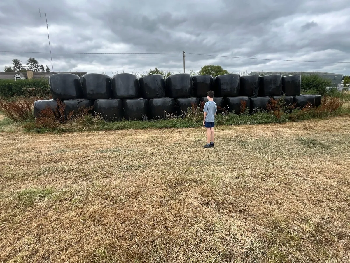 Silage Bales for sale