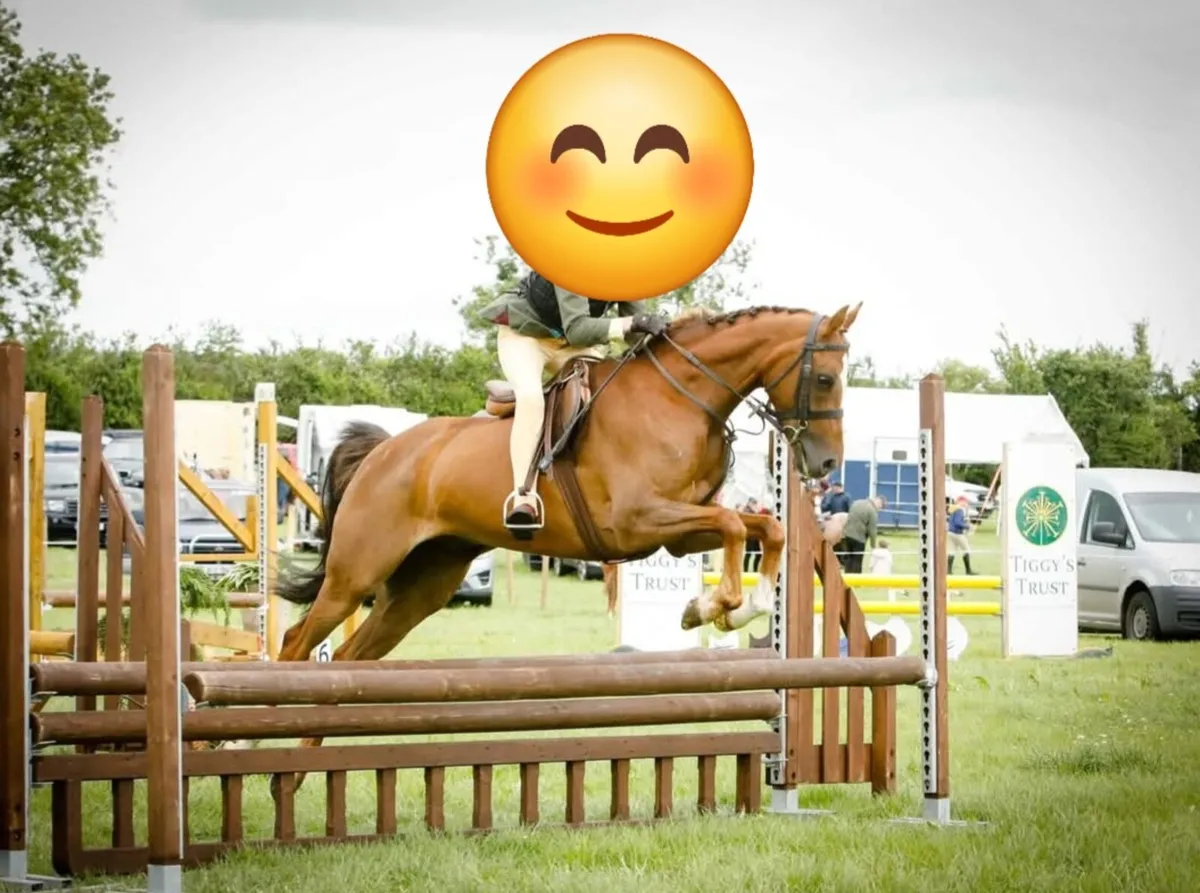Pony 133 - Image 2
