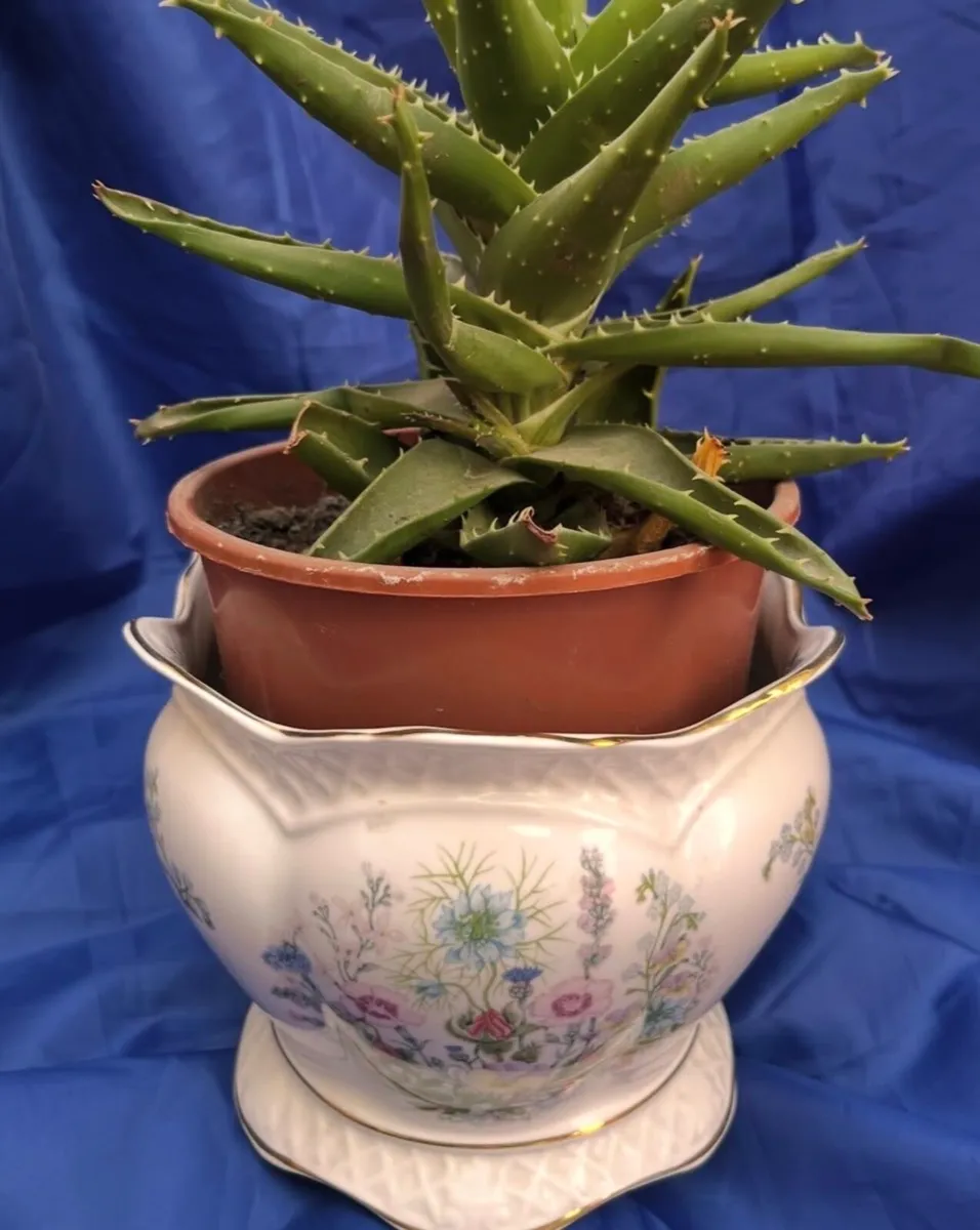 Planter - Image 4