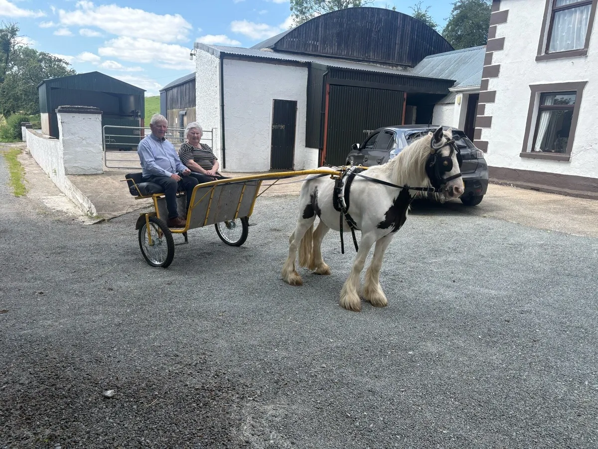 Driving cobs - Image 3