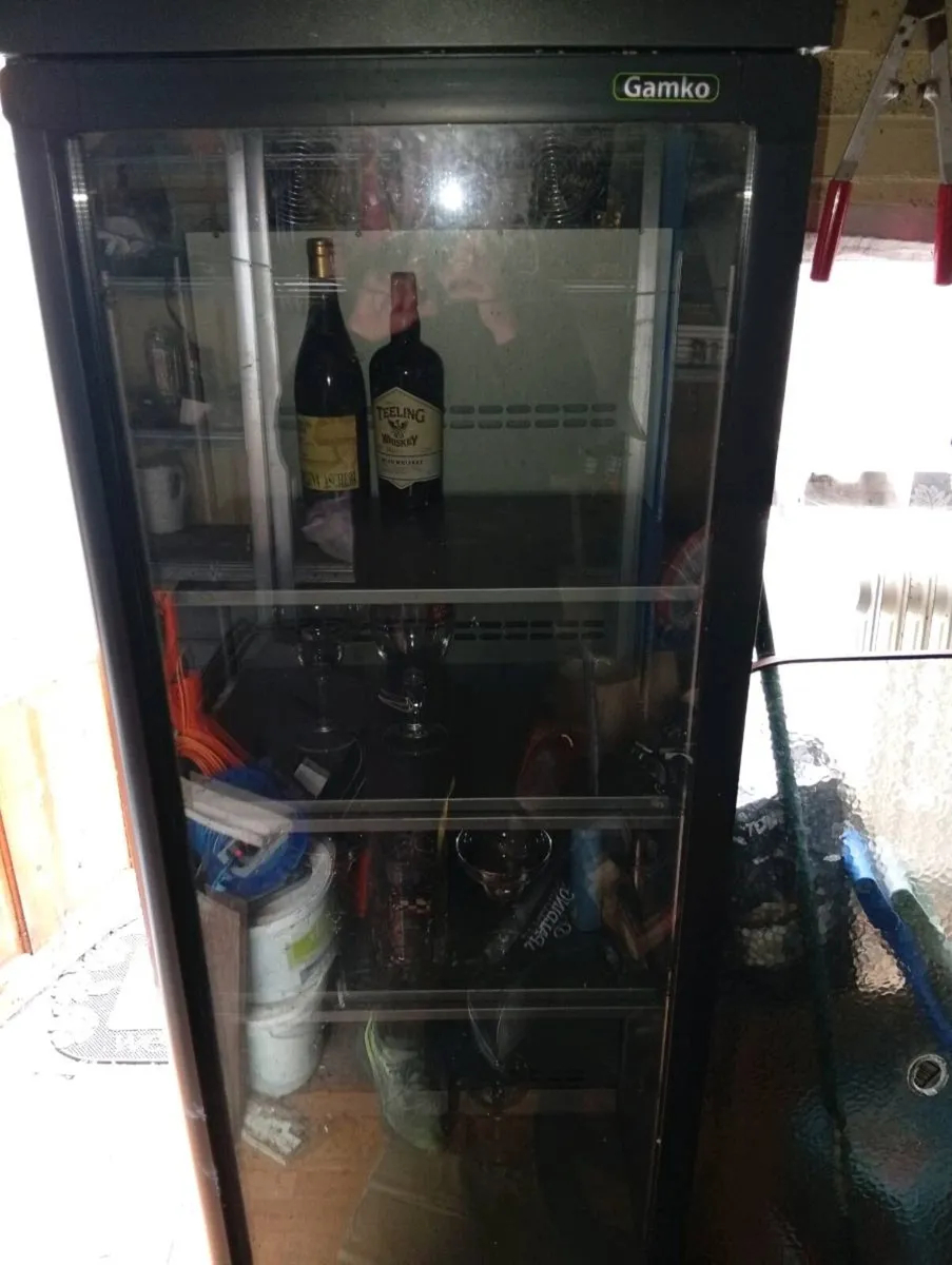 Gamko Mg3/300 Bar Fridge - Image 3
