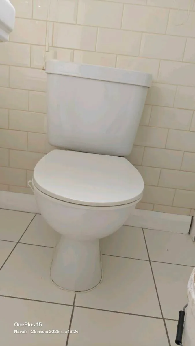 Free - Image 2