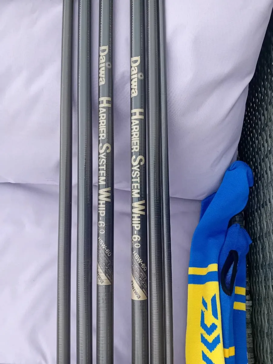 2 Daiwa whips - Image 1