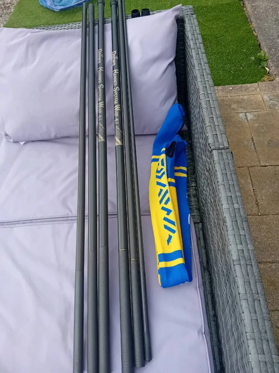 2 Daiwa whips - Image 2