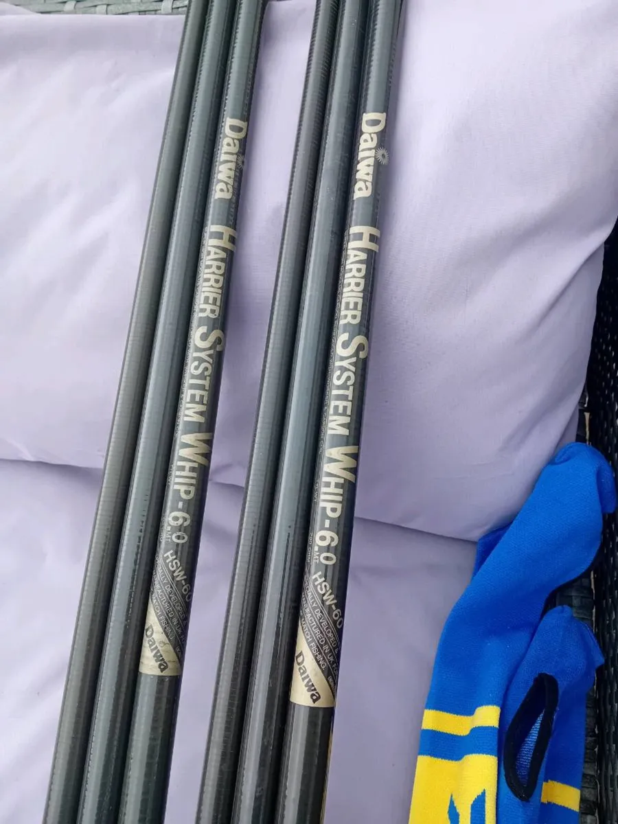 2 Daiwa whips - Image 3
